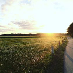 Scenic view of field against sky during sunset