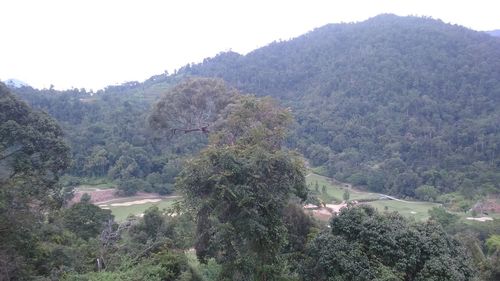 Scenic view of trees and mountains against sky