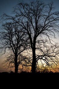 Silhouette bare tree on field against sky at sunset
