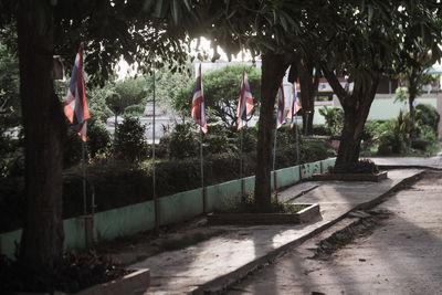 Trees in park