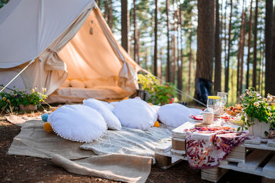 Picnic in the nature, table, carpets, wigwam, tent, pillows in the park.