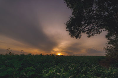 Scenic view of landscape against cloudy sky during sunset