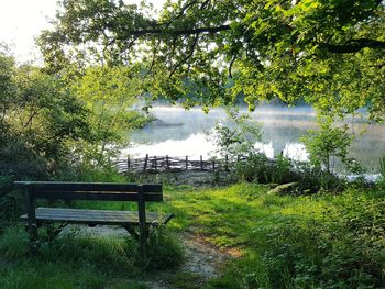 Empty bench on field by lake