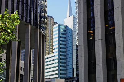 Low angle view of skyscrapers