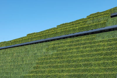 Scenic view of land against clear sky