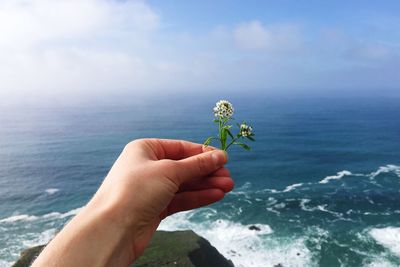 Close-up of hand holding flower