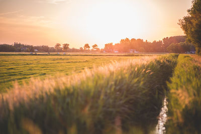 Scenic view of field against sky during sunset