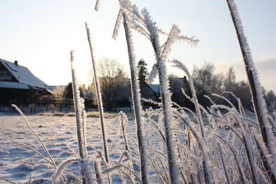 Close-up of snow covered land against clear sky