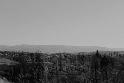 Scenic view of landscape against clear sky