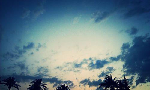 Low angle view of trees against sky