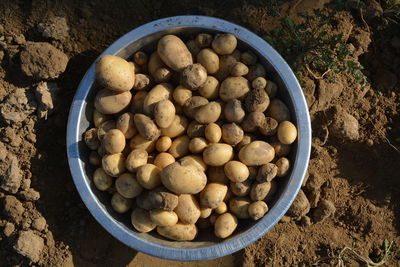 High angle view of eggs in container