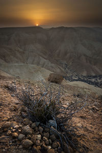 Scenic view of rocks in desert during sunset