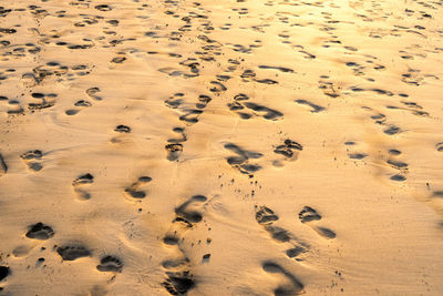 High angle view of footprints on beach
