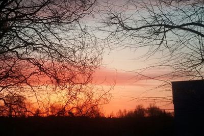 Silhouette trees on field against sky at sunset