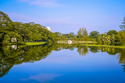 Scenic view of lake by trees against blue sky