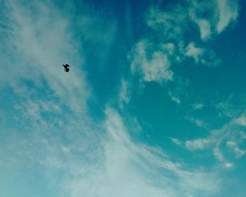 Low angle view of bird flying in sky