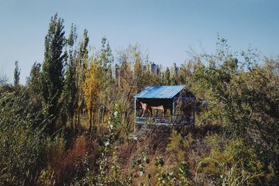 House amidst trees and plants in forest against sky
