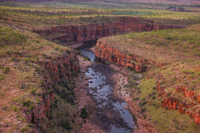 High angle view of stream amidst plants