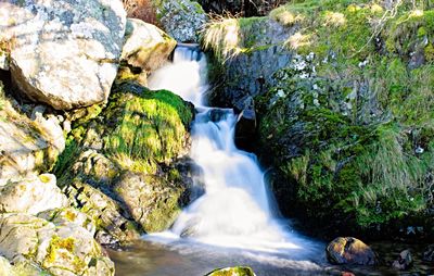 Scenic view of waterfall