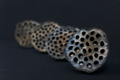 Close-up of lotus plant pod on black background