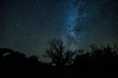 Low angle view of silhouette trees against sky at night