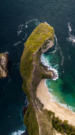 T-rex head rock beach