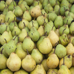 Full frame shot of fruits for sale at market stall