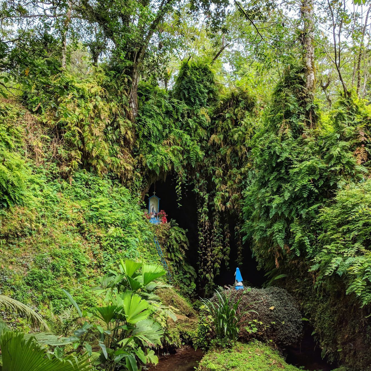 REAR VIEW OF WOMAN WALKING ON TREE IN FOREST