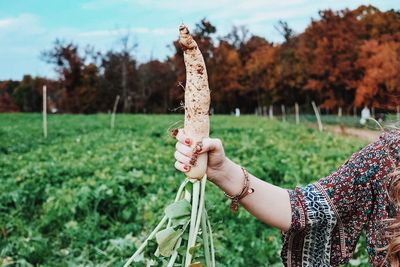 Cropped image of woman holding radish while standing at farm