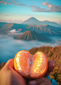 Midsection of person holding apple against mountain