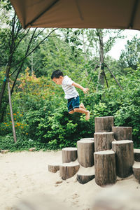 Rear view of boy jumping against trees