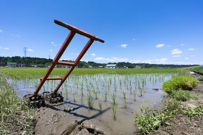 Scenic view of field by lake against sky