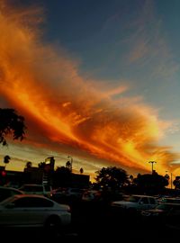 Cars parked at sunset