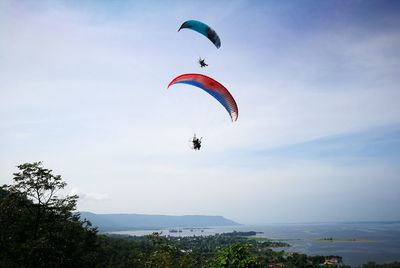 Low angle view of paramotors over seascape and trees against sky