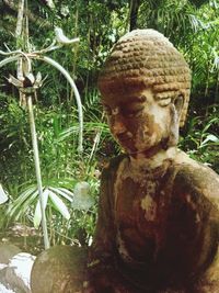 Close-up of statue against trees