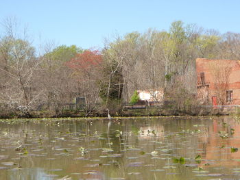 Reflection of trees in water against clear sky