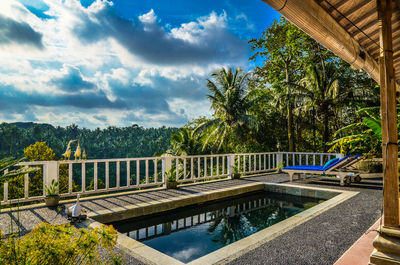 Reflection of trees in water