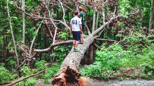 Full length of woman standing on tree trunk in forest