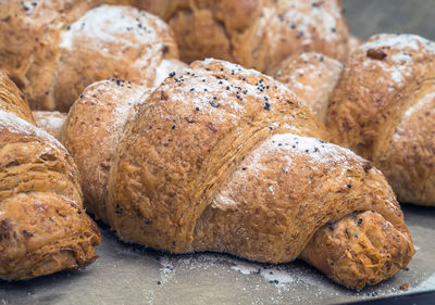 Homemade croissants made by whole-wheat flour with poppy seeds on the parchment paper. healthy food 