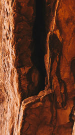 Close-up of rock formation in cave