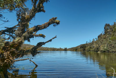 Scenic view of lake against clear blue sky