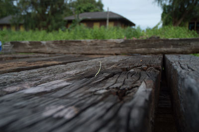 Surface level of wooden logs on land