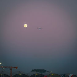 Low angle view of airplane flying in sky