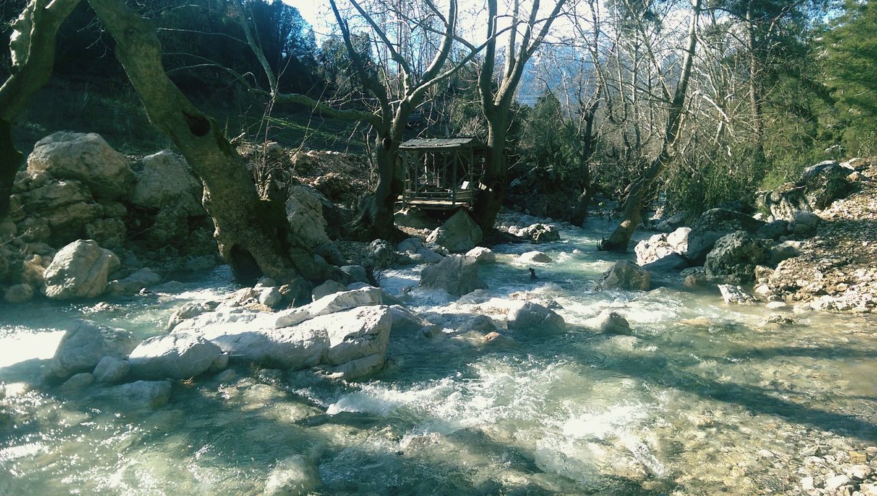 tree, tranquility, forest, nature, tree trunk, sunlight, rock - object, tranquil scene, day, scenics, water, growth, beauty in nature, no people, outdoors, non-urban scene, abandoned, shadow, branch, absence