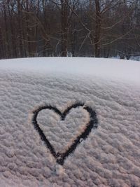 Heart shape on snow covered tree