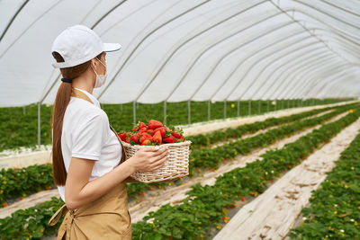 Midsection of woman holding apple in basket on field