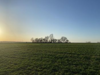 Scenic view of field against clear sky