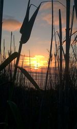 Scenic view of sea against sky at sunset