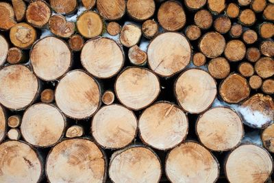 Full frame shot of logs in forest