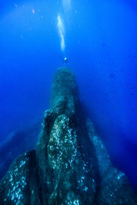 Close-up of man in sea